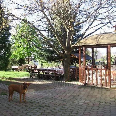Mako-vendeghaz Eğri